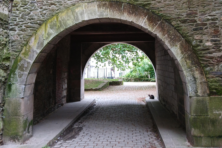 Nantes: 90-minute tour of St. Peter and St. Paul Cathedral with a professional guide