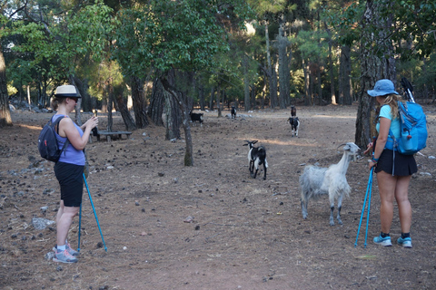 Rhodes: Hike Mount Profitis Ilias from Salakos With Pick-up and Drop-off