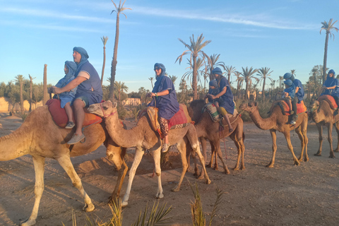 Marrakech: giro in cammello al tramonto nella Palmeraie