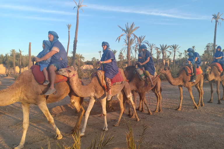 Marrakech: kameelrit bij zonsondergang in de Palmeraie