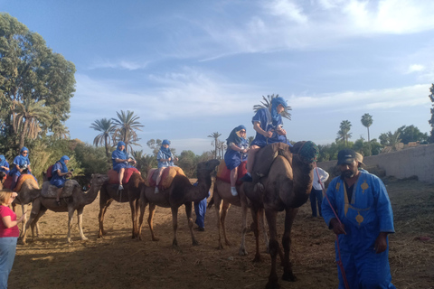 Marrakech: kameelrit bij zonsondergang in de Palmeraie