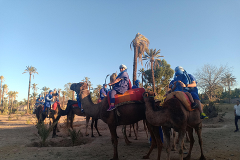 Marrakech: kameelrit bij zonsondergang in de Palmeraie