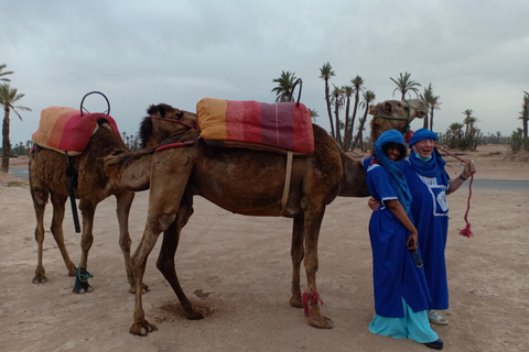 Marrakesch: Kamelritt bei Sonnenuntergang in der Palmeraie