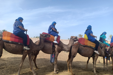 Marrakesch: Kamelritt bei Sonnenuntergang in der Palmeraie