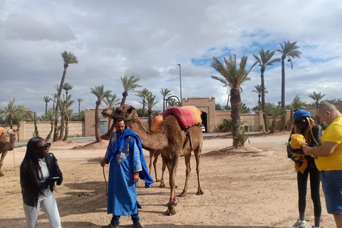 Marrakesz: przejażdżka na wielbłądzie o zachodzie słońca w Palmeraie