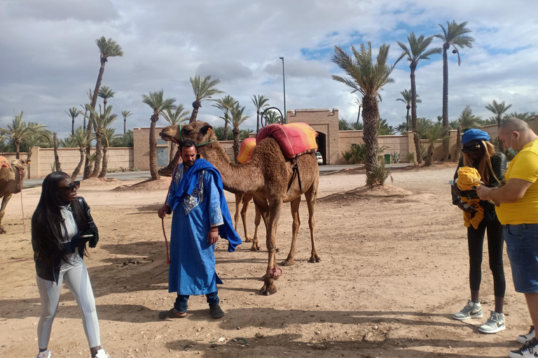 Marrakesz: przejażdżka na wielbłądzie o zachodzie słońca w Palmeraie