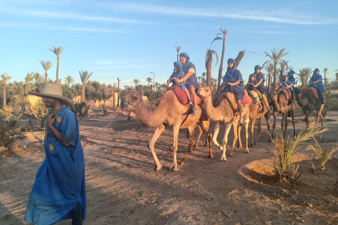 Marrakech: kameelrit bij zonsondergang in de Palmeraie