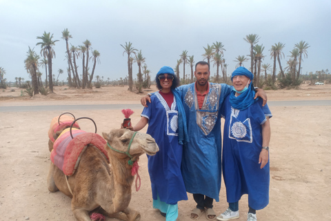 Marrakech: giro in cammello al tramonto nella Palmeraie