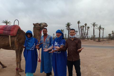 Marrakech: kameelrit bij zonsondergang in de Palmeraie