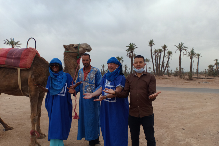 Marrakech: Kamelridning i Palmeraie: Solnedgång