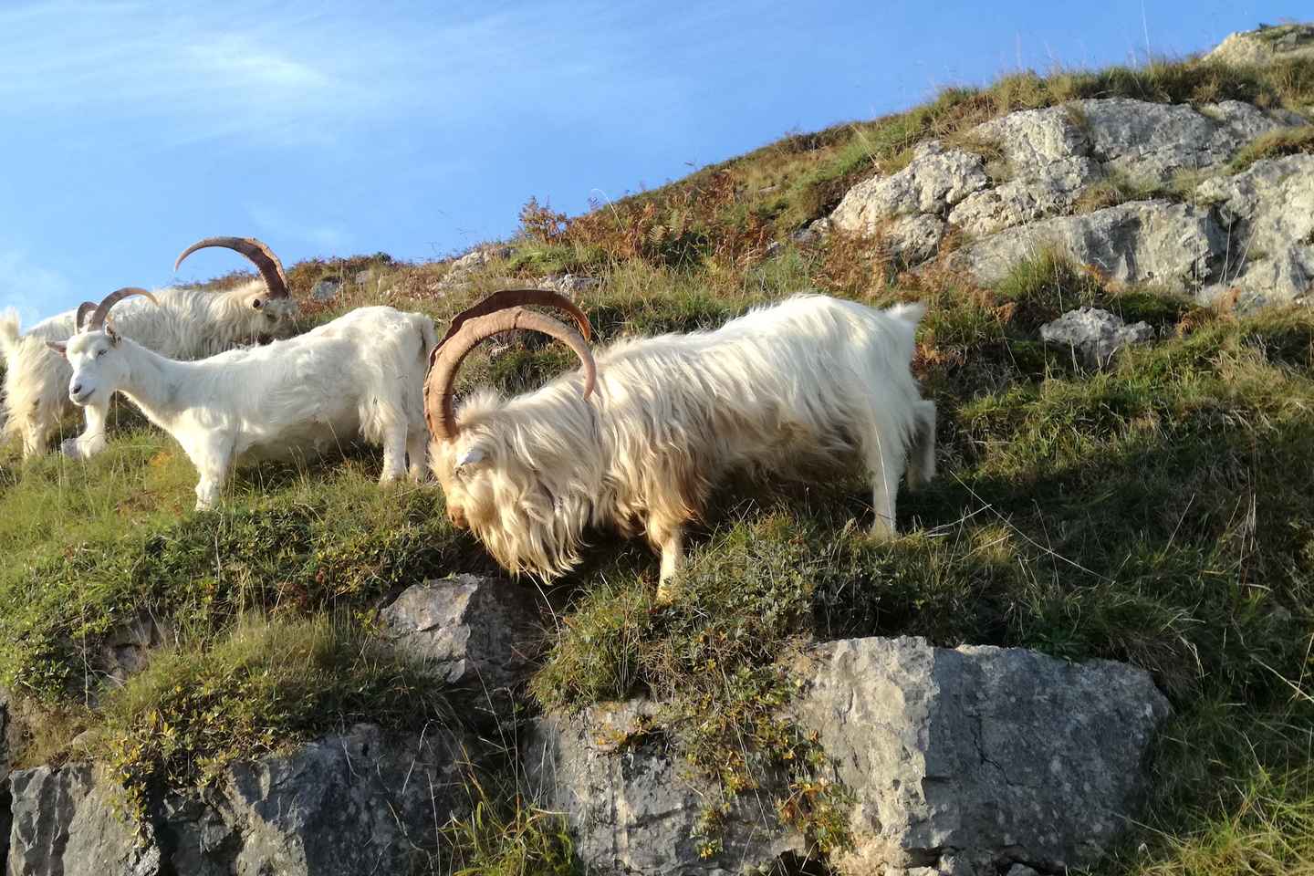 探索斯诺登尼亚：花园城堡私人之旅