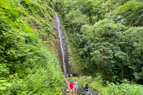 Oahu: Manoa Valley Private Hiking Trip & Waterfall