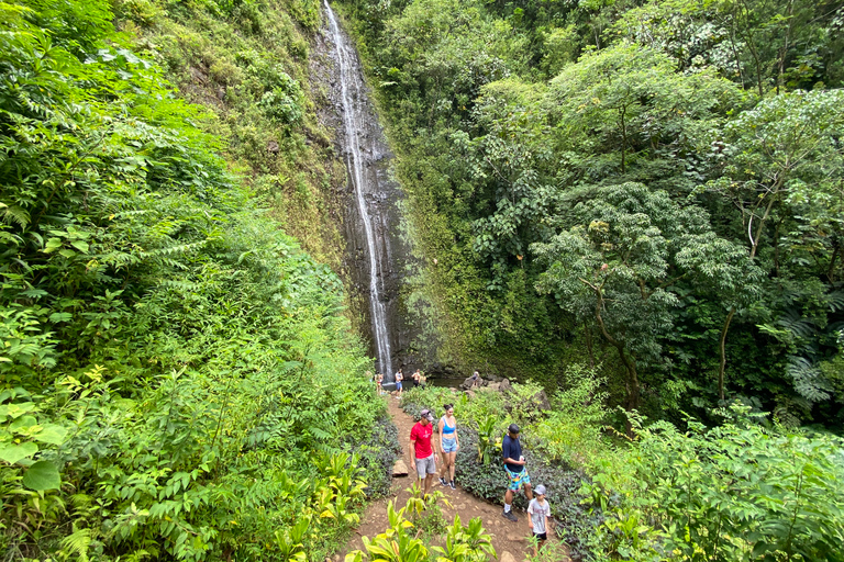 Oahu : Randonnée privée dans la vallée de Manoa et chute d&#039;eau
