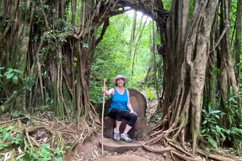 Oahu : Randonnée privée dans la vallée de Manoa et chute d&#039;eau