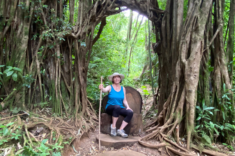 Oahu : Randonnée privée dans la vallée de Manoa et chute d&#039;eau