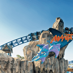 San Diego: biglietto di ingresso al SeaWorld Park