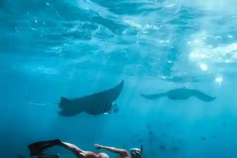 Bali sydøst: Nusa Penida heldagsudflugt med snorkling