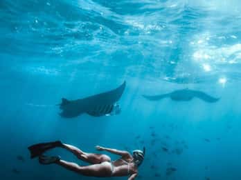 Sureste de Bali : Excursión de un día a Nusa Penida con snorkel