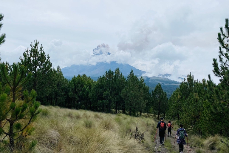 Ciudad de México: caminata guiada por el volcán con almuerzo