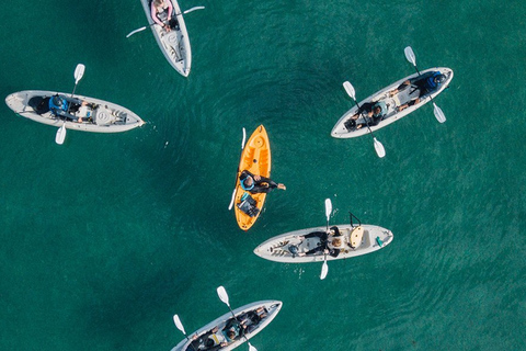 La Jolla: Sea Cave Kayaking Tour with Guide