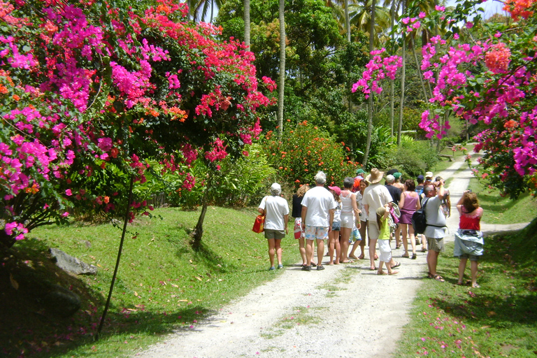 St. Lucia: Wanderung zu den Sapphire Falls mit Kreuzfahrt und kreolischem Mittagessen