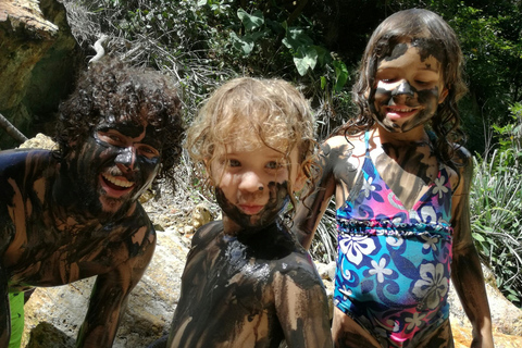 St. Lucia: Wanderung zu den Sapphire Falls mit Kreuzfahrt und kreolischem Mittagessen