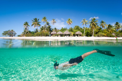 From Santo Domingo: Saona Island Catamaran FullDay & Lunch