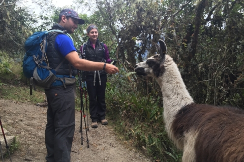 Randonnée de 4 jours sur le Machu Picchu Inca TrailChemin Inca au Machu Picchu: voyage de camping de 3 nuits