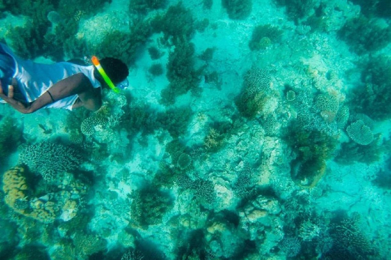 Day Trip: Kisite Dolphin Safari & Wasini Island with Lunch From Diani: Wasini Island Tour with Snorkeling and Lunch