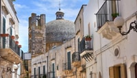 Puglia, Mozzarella Experience at a Apulian Farm yakınlarında yapılacak şeyler - Hizvo