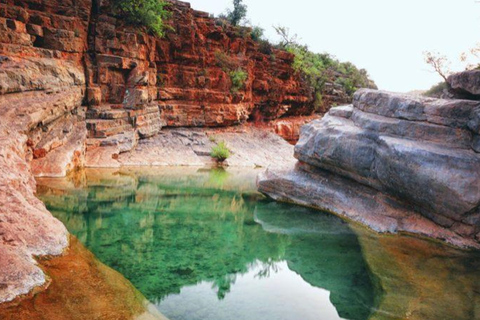 Agadir: Guided Excursion to Paradise Valley