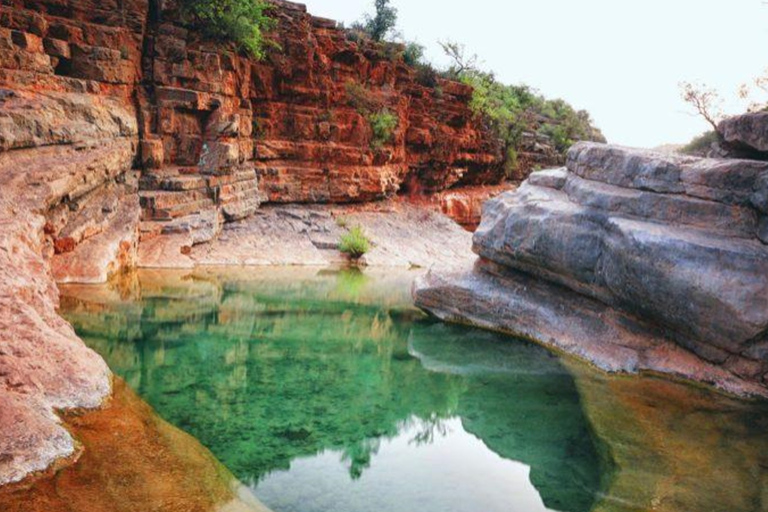 Agadir: Guided Excursion to Paradise Valley