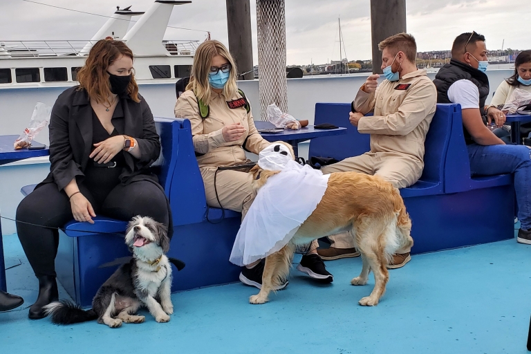 Boston : Costumes d'Halloween et croisière touristique adaptés aux chiens