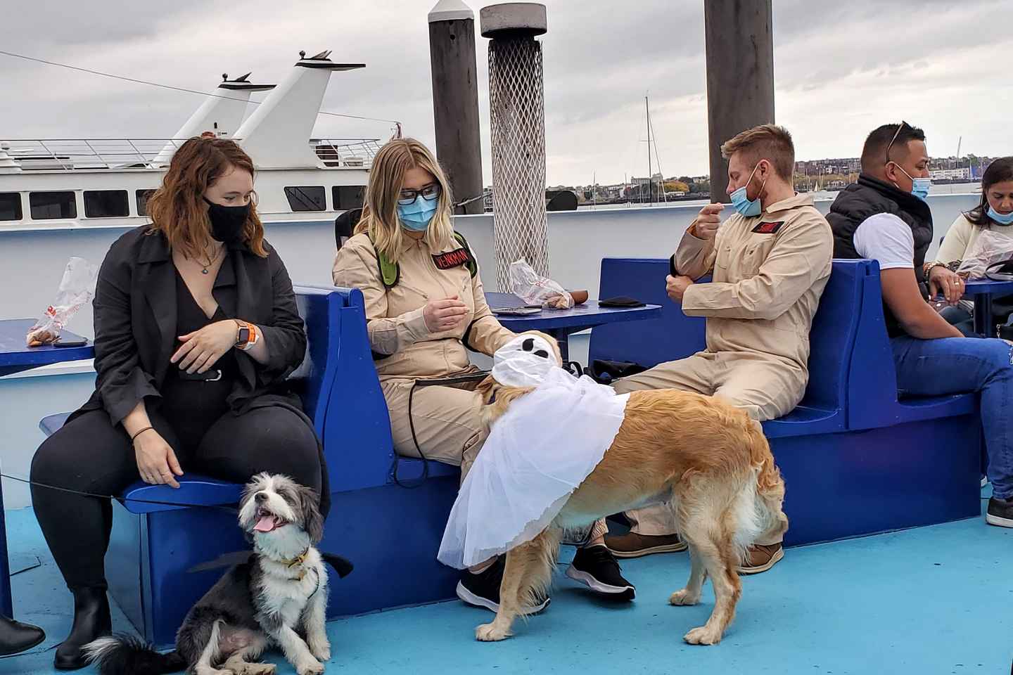 dog-friendly halloween costume & sightseeing cruise