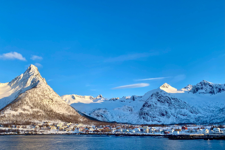 From Tromsø: Discover Senja Island with Local Guide From Tromsø: Privately Discover Senja with Local Guide