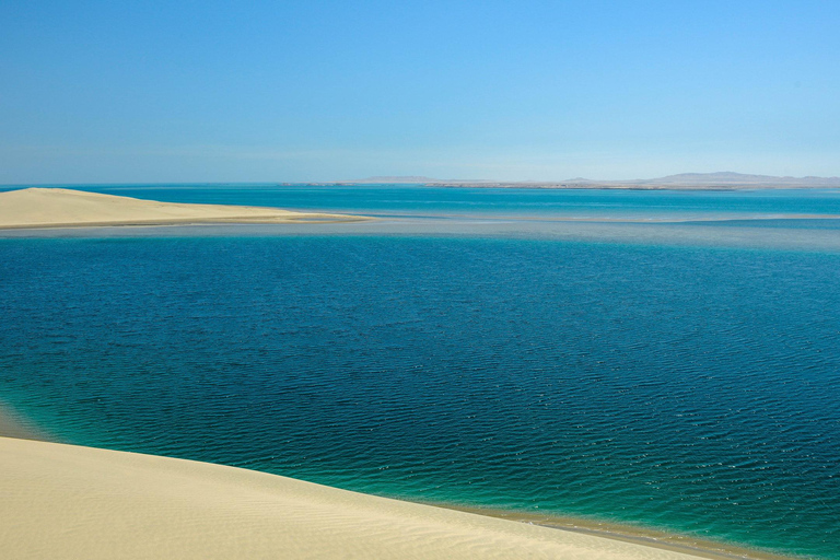 Doha Premium Wüstensafari mit Quad und KamelrittDoha Quadbike Sandboarding Wüstensafari und Kamelritt