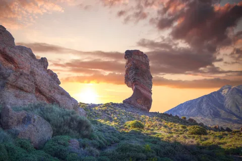 Parque Nacional del Teide: Excursión Privada Paisajes y Miradores