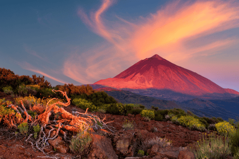 Nationaal park Teide: privétour landschappen en uitzichtpunten