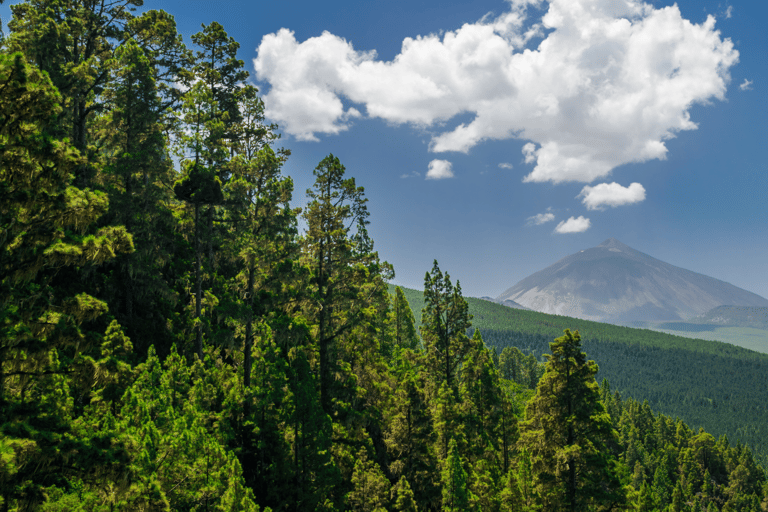 Parco Nazionale del Teide: tour privato di paesaggi e punti panoramici