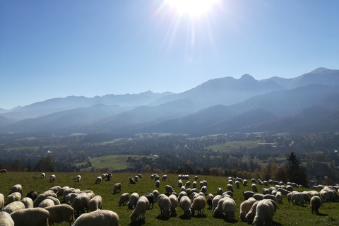 From Krakow: Day Tour of Zakopane and Tatra Mountains