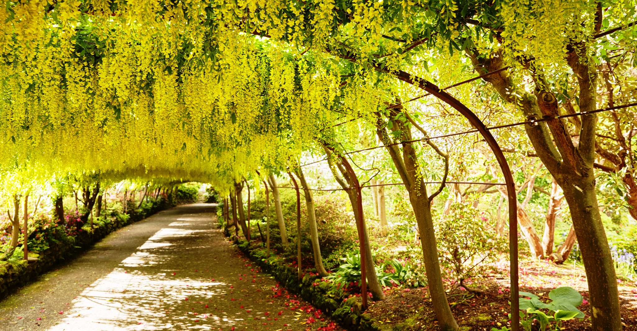 Snowdonia, Bodnant Gardens & Castles Private Tour - Hizvo