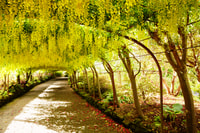 Snowdonia, Bodnant Gardens & Castles Private Tour - Hizvo
