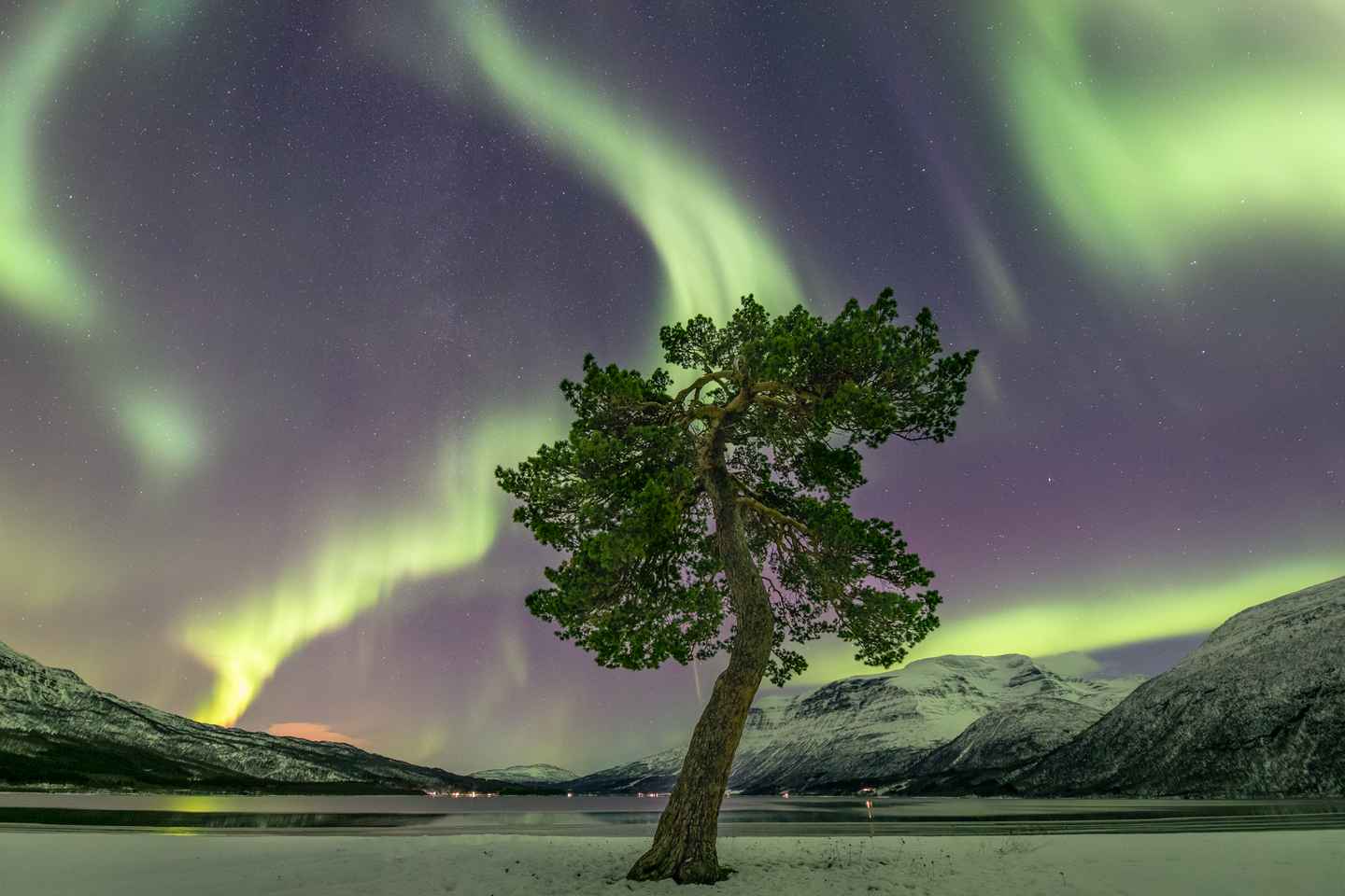Tromsø: Private Northern Lights tour, premium 4x4 vehicle
