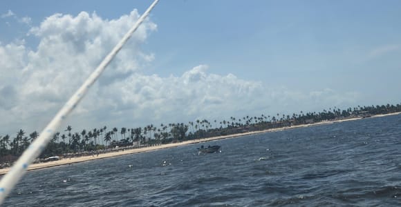 Punta Cana Parasailing Adventure