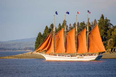 From Bar Harbor: Tall Ship Cruise on Frenchman Bay