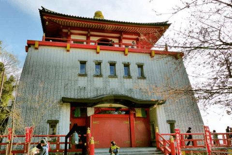 Osaka/Kyoto: Mount Koya &amp; Wakayama Privat dagsutflykt med guideRundresa från Osaka