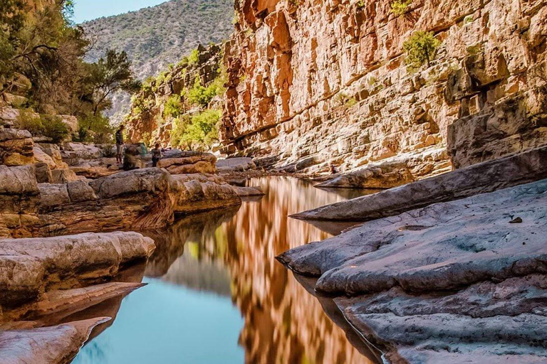 Agadir: Guided Excursion to Paradise Valley