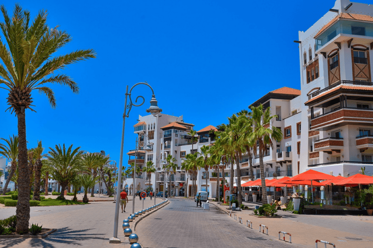 Agadir: Stadtrundfahrt, Krokodilpark & KamelrittStandardoption