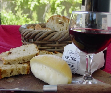 Lisbon: Day Tour of Azeitão, Arrábida, Setúbal, Palmela