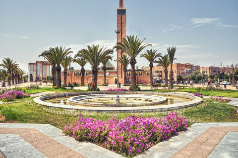 From Agadir: Legzira Beach and Tiznit Day Tour with Lunch Departure from Taghazout